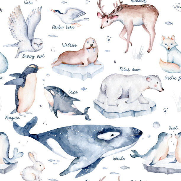 无缝水彩图案苗圃极地北极动物水彩收集集。雪鸮。驯鹿。北极熊。狐狸企鹅、海象。海豹，狗头鲸，野兔鲸图片下载