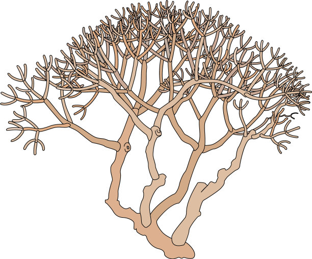 手绘植物剪辑艺术图片下载