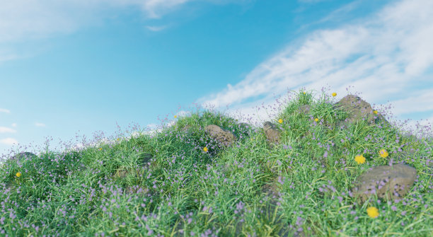 鲜花盛开的田野和绿色的草地在山上图片下载