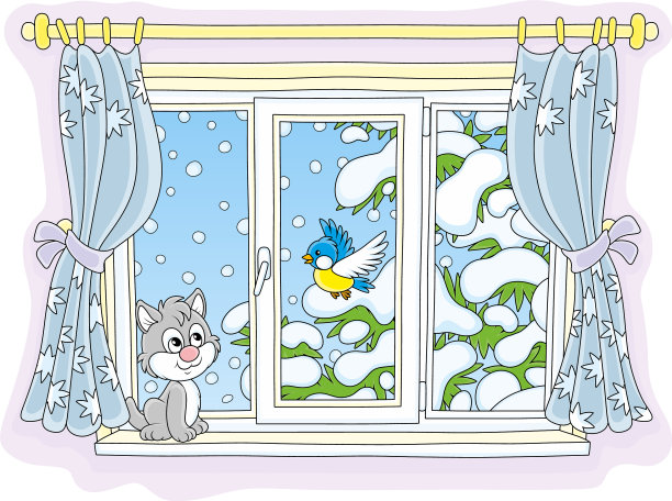 小猫在看一只小鸟图片下载