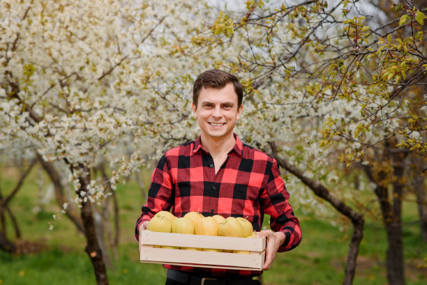 年轻、快乐、微笑的农夫穿着红色t恤，在他的果园里拿着一个装满苹果的箱子。图片下载