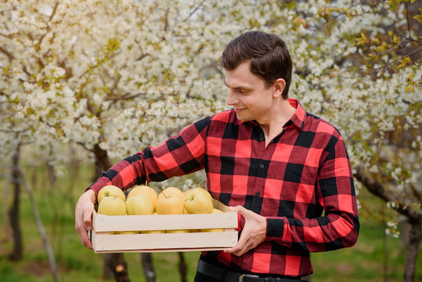 年轻、快乐、微笑的农夫穿着红色t恤，在他的果园里拿着一个装满苹果的箱子。图片下载