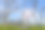 公园在中国深圳市，美丽的绿色树木结合建筑，现代建筑，完全蓝色的天空。图片下载