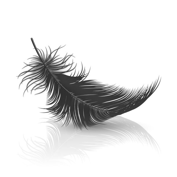 3d现实落黑色绒毛旋转图片下载