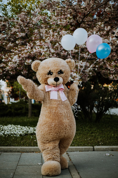 派对上的吉祥物熊图片下载