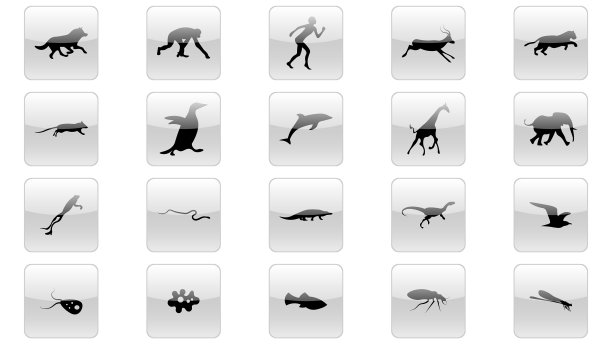 设置动物图标设计图片下载