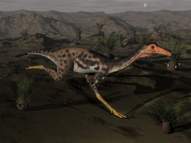 Mononykus恐龙夜间- 3D渲染图片下载