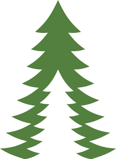 雪松树平面设计模板隔离图片下载