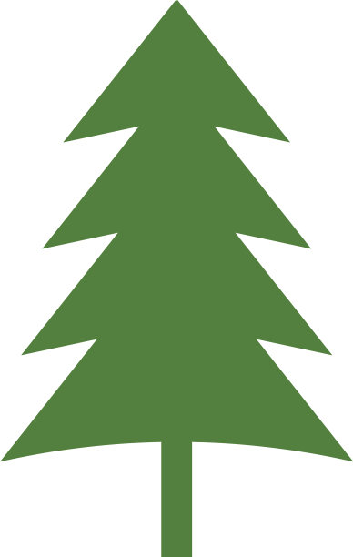 雪松树平面设计模板隔离图片下载