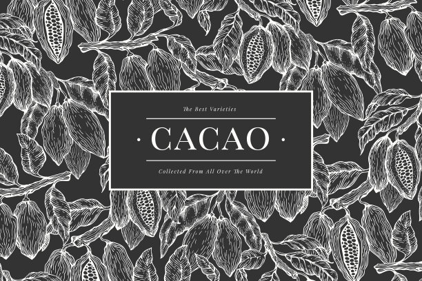 可可横幅模板巧克力可可豆图片下载