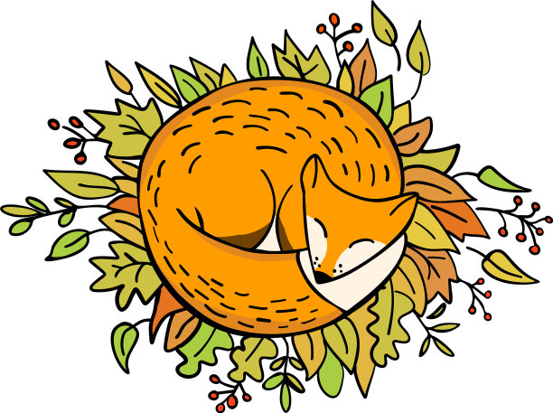 可爱的狐狸在白色的秋叶上睡着了图片下载