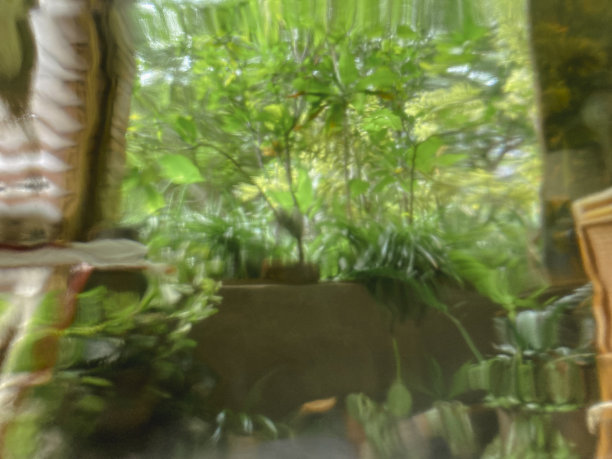 模糊的背景图片下载