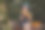 快乐的小女孩拿着一穗玉米。图片下载