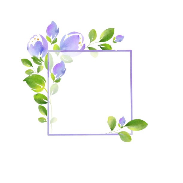 优雅的花架为您设计。水彩插图。手绘。明信片、请柬和名片的理想选择。图片下载