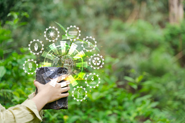 拯救世界和创新理念，女孩抱着小植物或树苗从土壤上生长的棕榈树与连线，生态图片下载