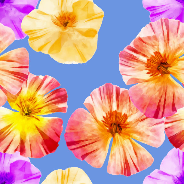 Eschscholzia。插图，花的纹理。用于连续复制的无缝模式。花卉背景，照片拼贴纺织品，棉织物。用于墙纸，封面，打印图片下载