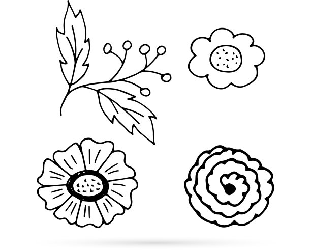 线涂鸦花与叶设置孩子手绘图片下载