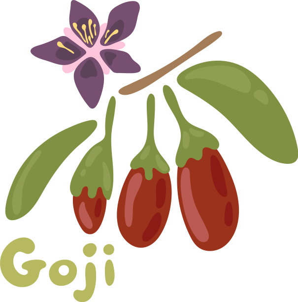 枸杞果健康排毒图片下载