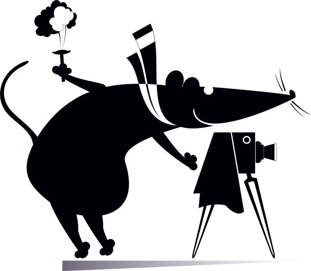 卡通老鼠或孤立的摄影师老鼠图片下载