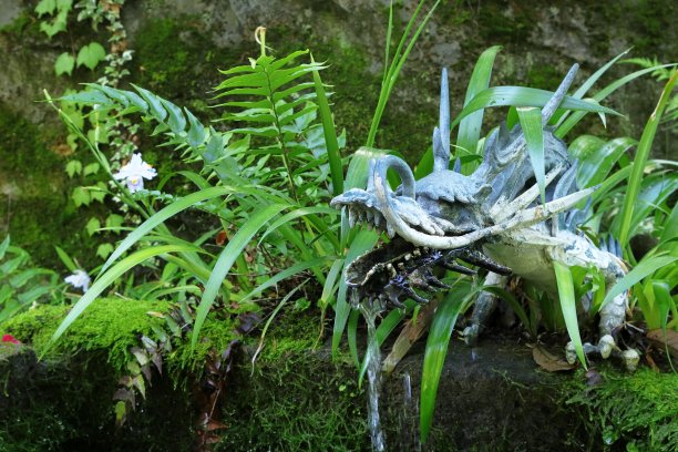 日本山梨县的风景图片下载