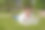 成年男子带着笔记本电脑图片下载
