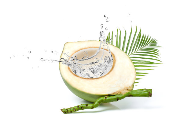 椰汁(椰子汁)图片下载