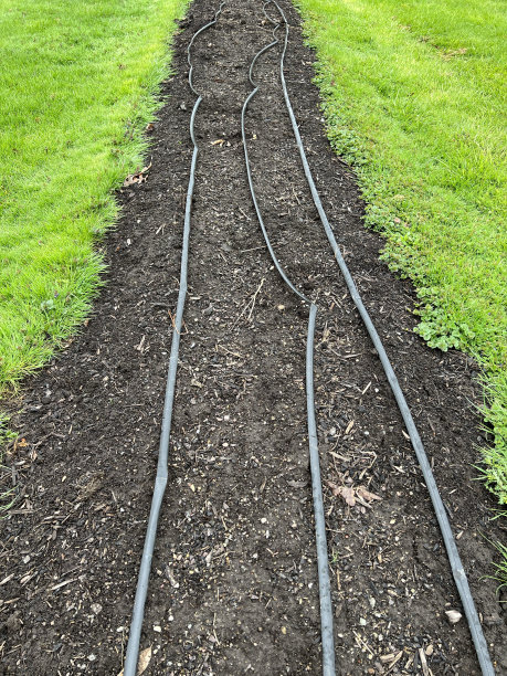 有灌溉的花园图片下载