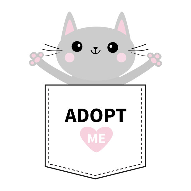 收养我灰色的猫拥抱在口袋粉色的心图片下载