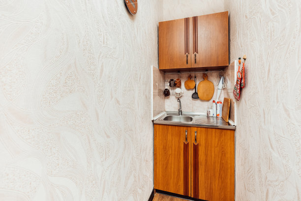 公寓里紧凑的厨房水槽图片下载