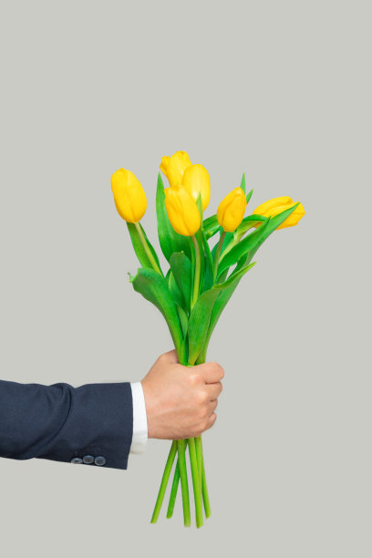 一个男人的手在灰色的背景上献上一束黄色郁金香图片下载