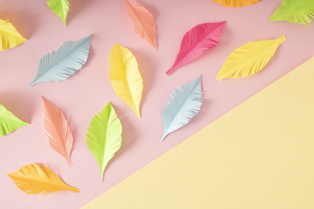粉彩剪羽毛上的创意“双色调黄粉色背景。平铺彩色概念。“n图片下载