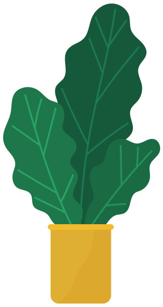陶瓷中具有长叶的装饰性绿色植物图片下载