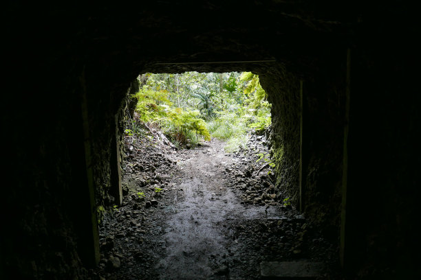 Chichi jima Bonin岛，Ogasawara。图片下载