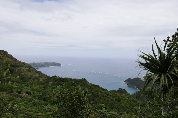 Ogasawara Chichi jima Bonin island的遗迹。图片下载
