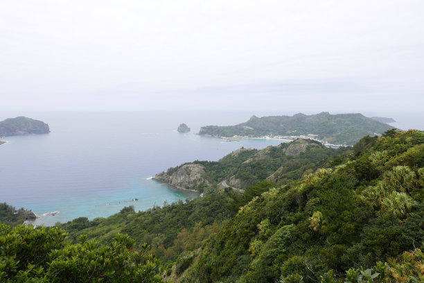 Ogasawara Chichi jima Bonin island的遗迹。图片下载