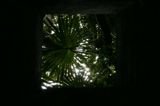 Ogasawara Chichi jima Bonin island的遗迹。图片下载