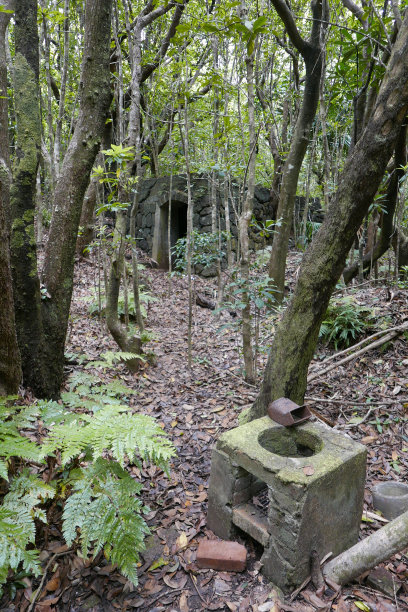 Ogasawara Chichi jima Bonin island的遗迹。图片下载
