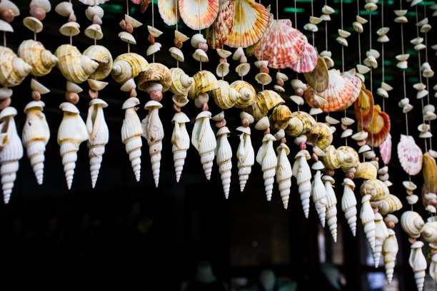 悬挂着的贝壳与每一阵轻柔的微风合在一起，形成一种柔和、舒缓的感觉。图片下载