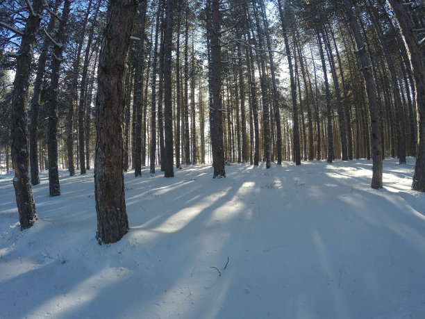 自然的观点图片下载