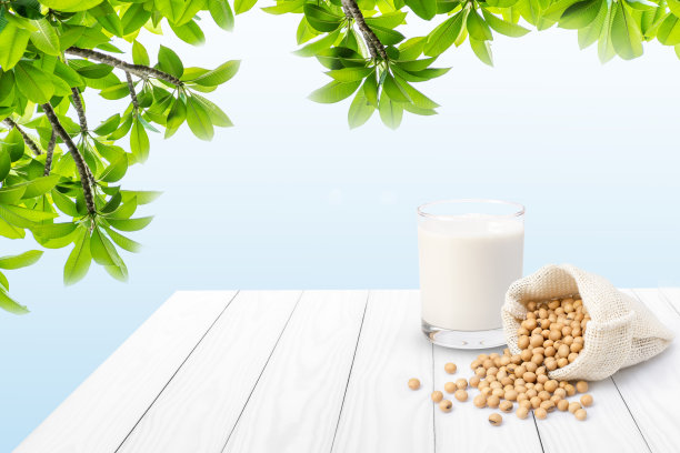 豆奶和大豆分离图片下载