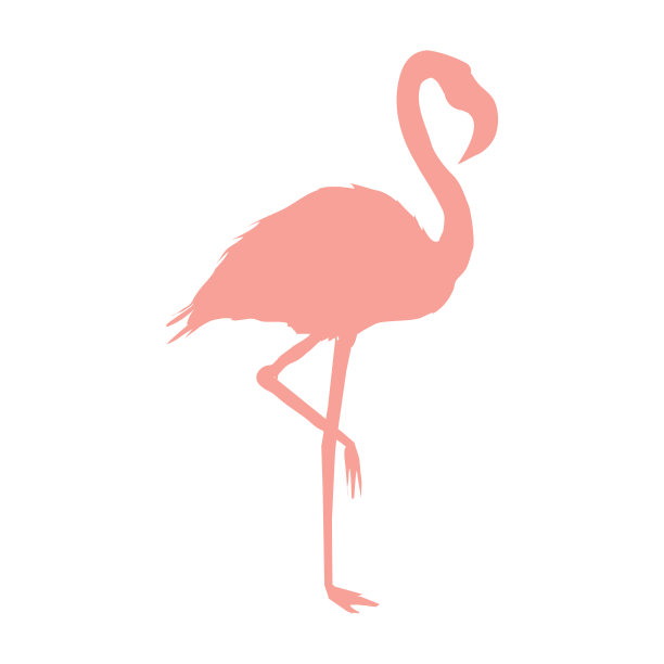 矢量图像的一个剪影火烈鸟站在一条腿图片下载