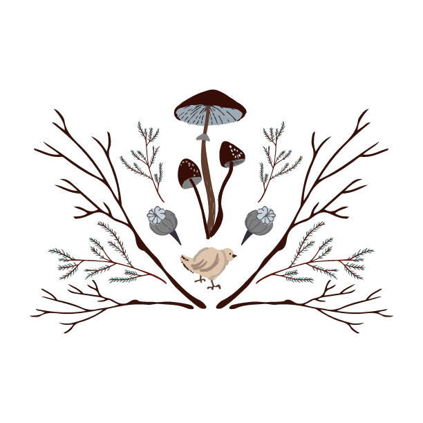 扁平风格的秋季设计：手绘蘑菇、母鸡、树枝和干花矢量素材，适用于明信片、纺织品、网站和社交媒体图片下载