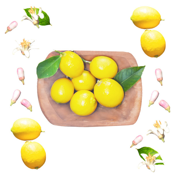柠檬花和新鲜柠檬水果放在碗里图片下载
