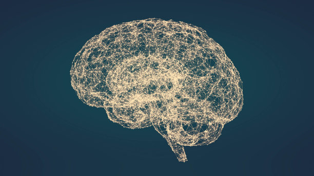 人工智能人类大脑丛背景图片下载