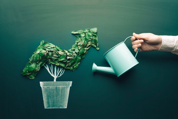 成长图表的概念。将植物种在一个像生长图一样的花盆里。企业成长、利润、发展和成功的概念，对生态和自然保护的兴趣日益增长图片下载