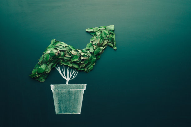 成长图表的概念。将植物种在一个像生长图一样的花盆里。企业成长、利润、发展和成功的概念，对生态和自然保护的兴趣日益增长图片下载