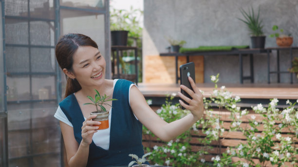 女子用智能手机自拍花盆上的小树图片下载