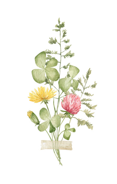 水彩夏天气味图片下载