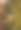 复古灯和钢丝上的圣诞树纹理背景。垂直照片,特写镜头。图片下载
