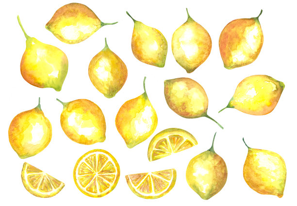 水彩水果柠檬设置在白色背景的墙纸或纺织品图片下载
